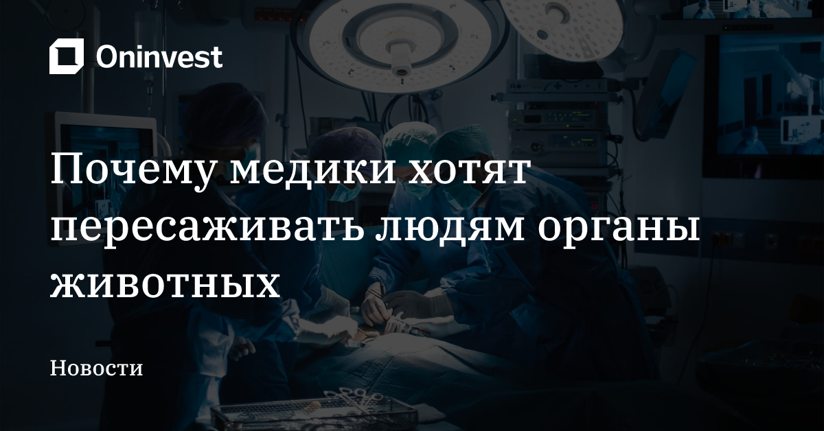 Почему медики хотят пересаживать людям органы животных – Oninvest