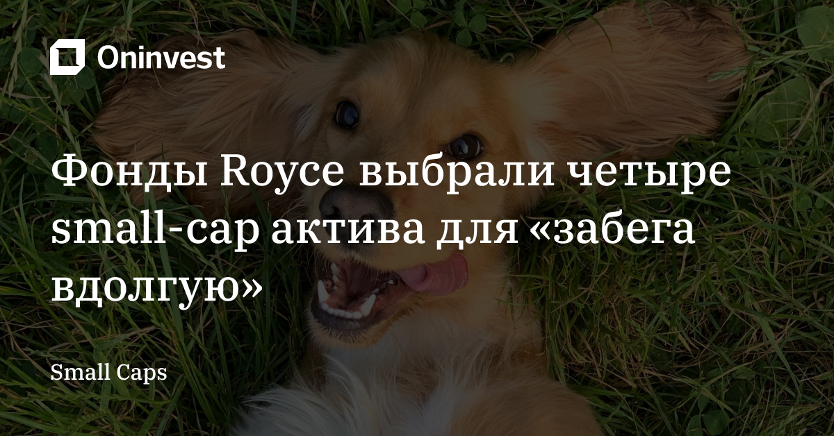Фонды Royce выбрали четыре small-cap актива для «забега вдолгую» – Oninvest
