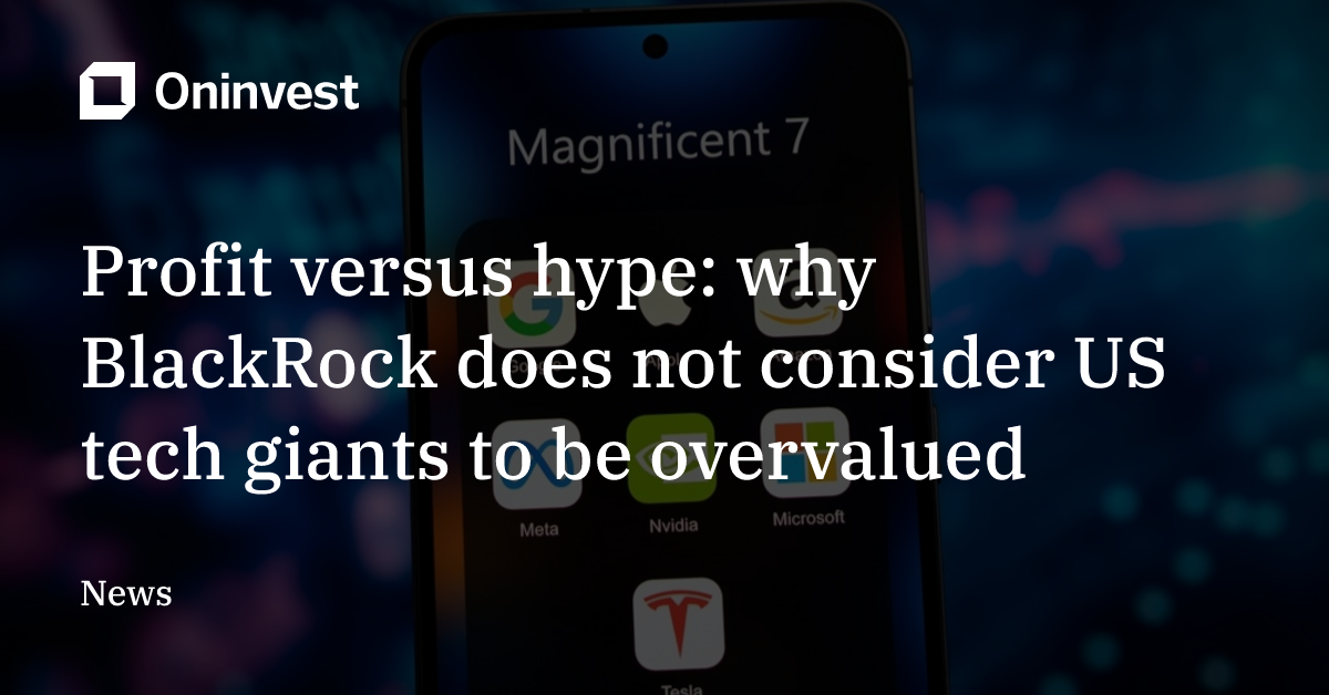 Profit versus hype: why BlackRock does not consider US tech giants to ...