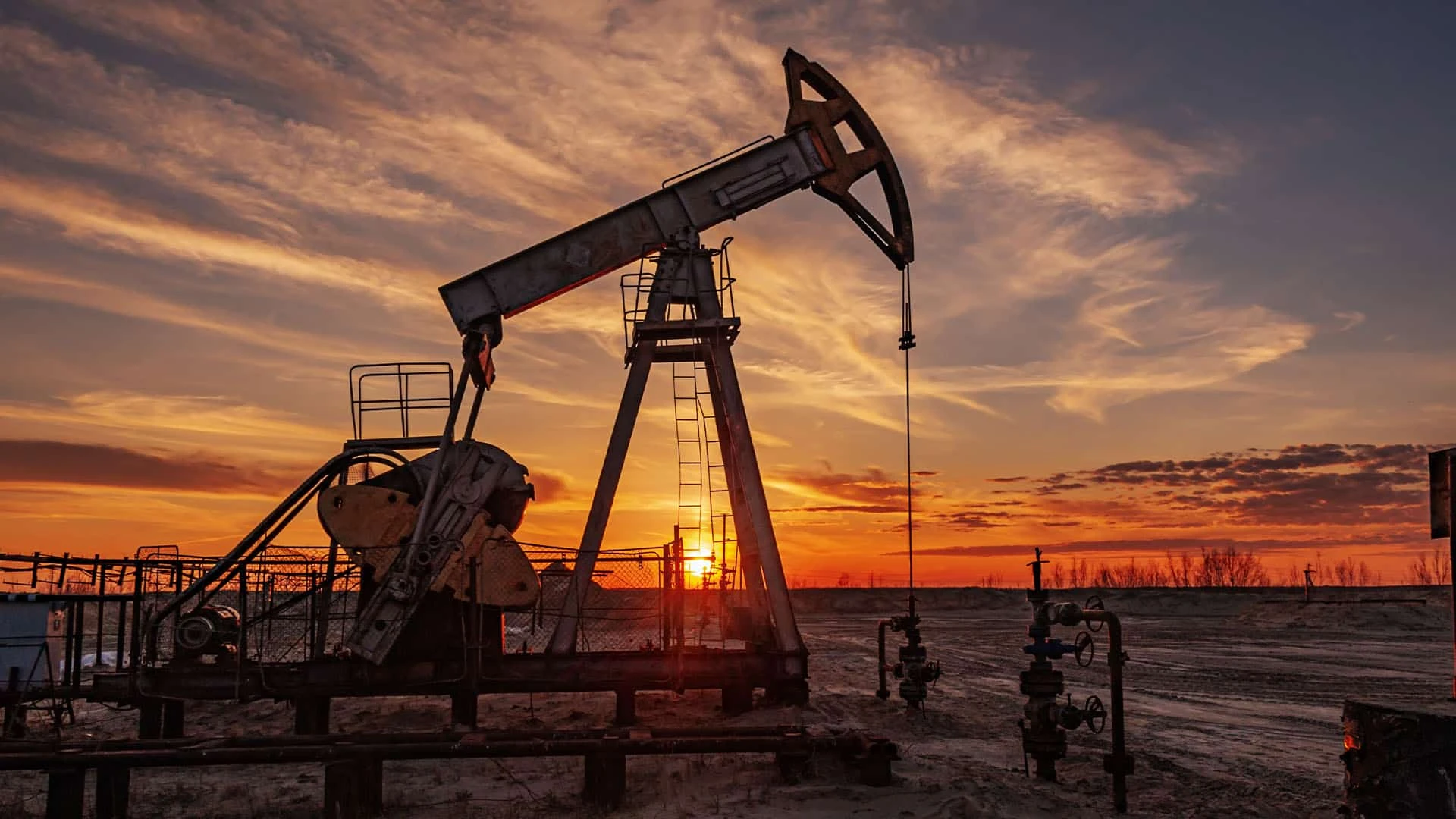 Фото: shutterstock