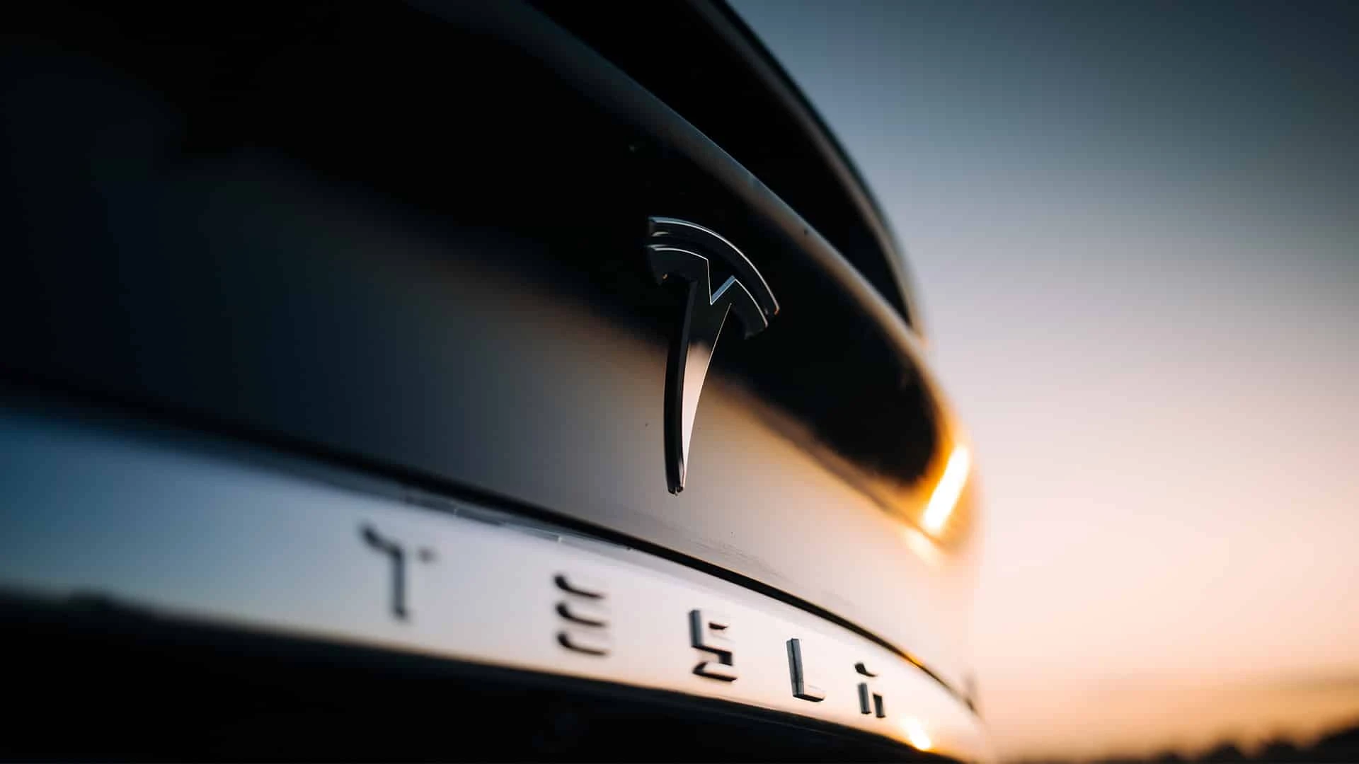Логотип Tesla на багажнике Model X / Фото: shutterstock