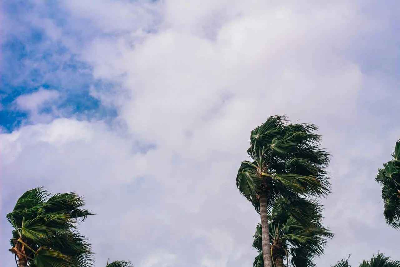 Прошлый год оказался крайне удачным для инвесторов в «облигации катастроф» Фото: Unsplash / Sean Foster