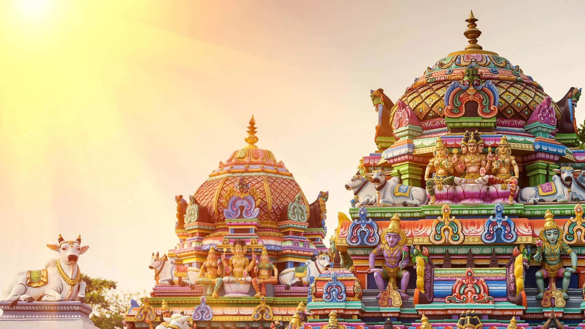 Глобальные фонды выходят из индийских акций / Фото: shutterstock