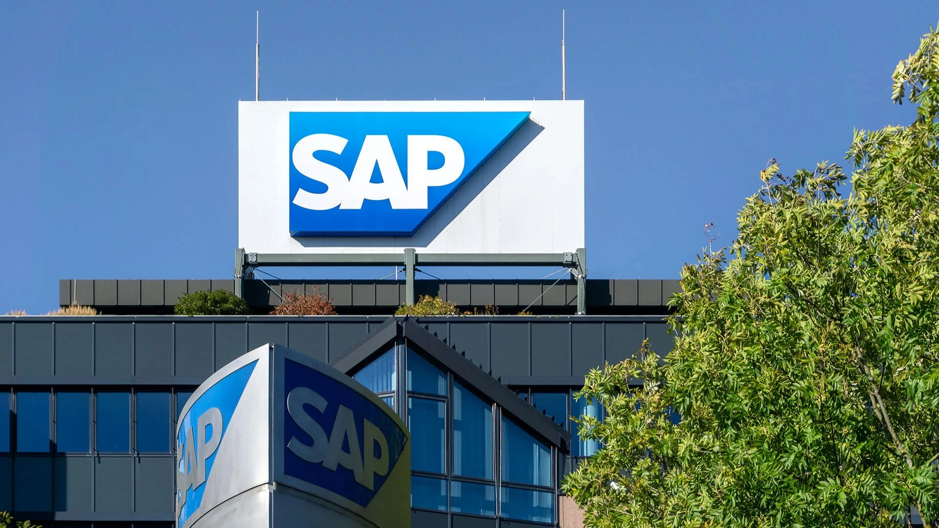 Планы по переобучению сотрудников на работу с ИИ позволили SAP достичь рекордной капитализации / Фото:  shutterstock