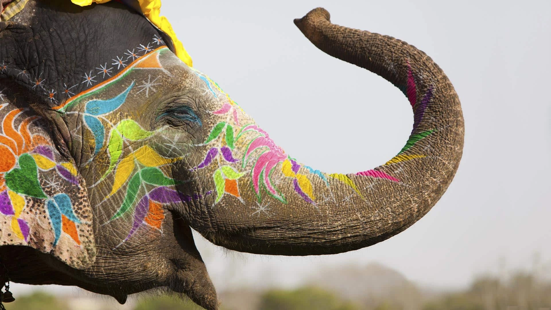 Индия обгонит Китай по инвестициям, считает Goldman Sachs / Фото: shutterstock