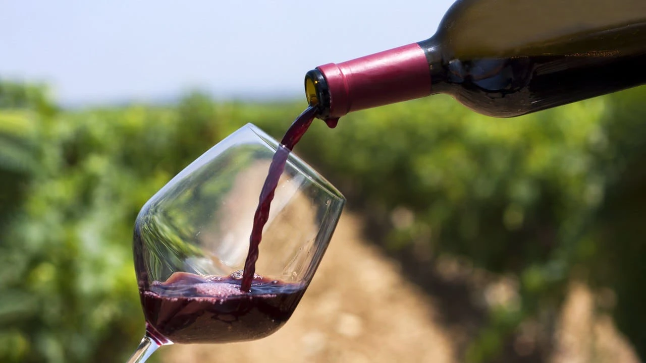 Такие известные мировые бренды, как Freixenet, Torres, La Gioiosa, уже создали свои линейки безалкогольных вин. Фото: shutterstock.