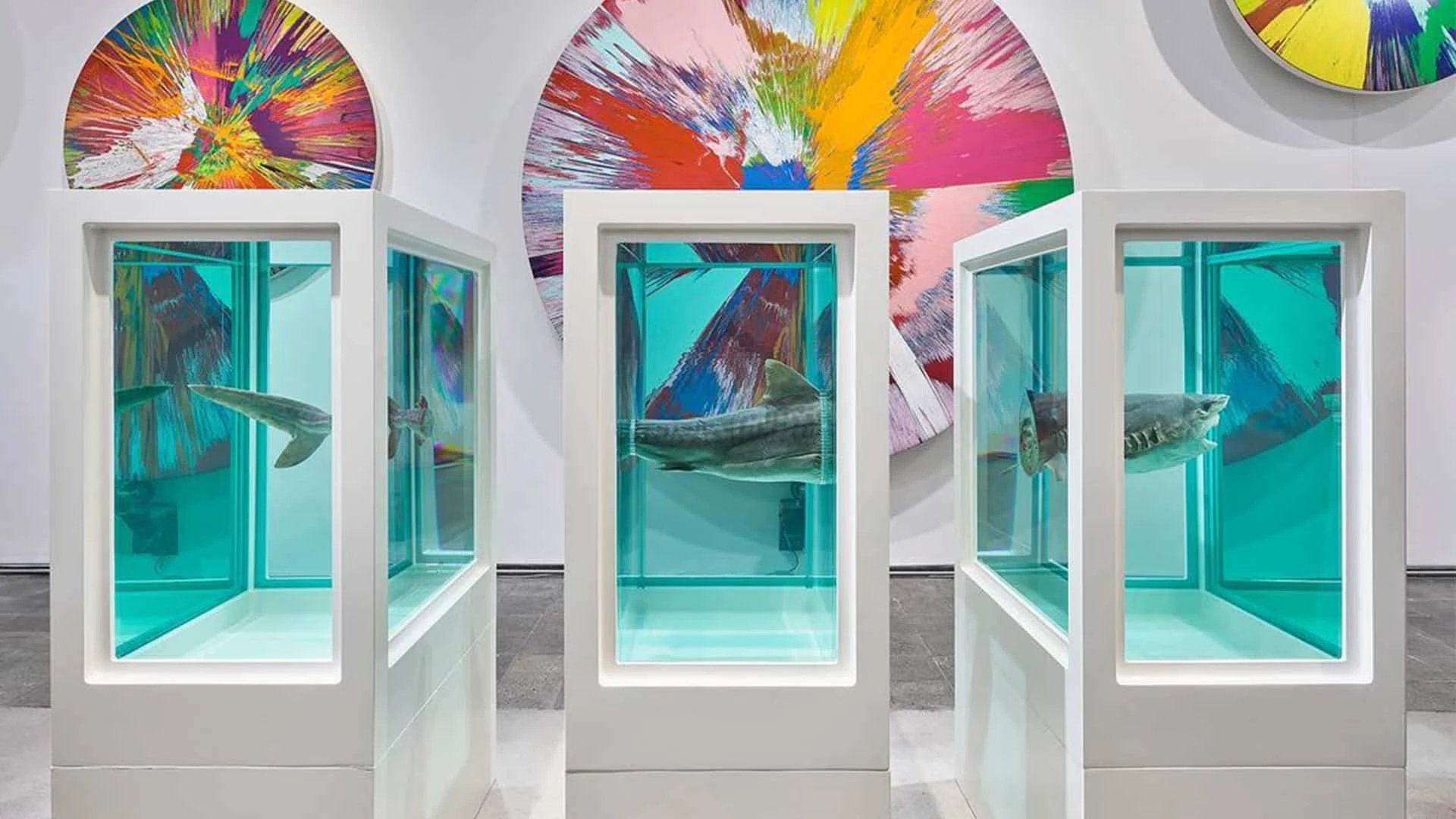 Дэмьен Херст, Миф исследованный, объясненный, взорванный. Фото: DR