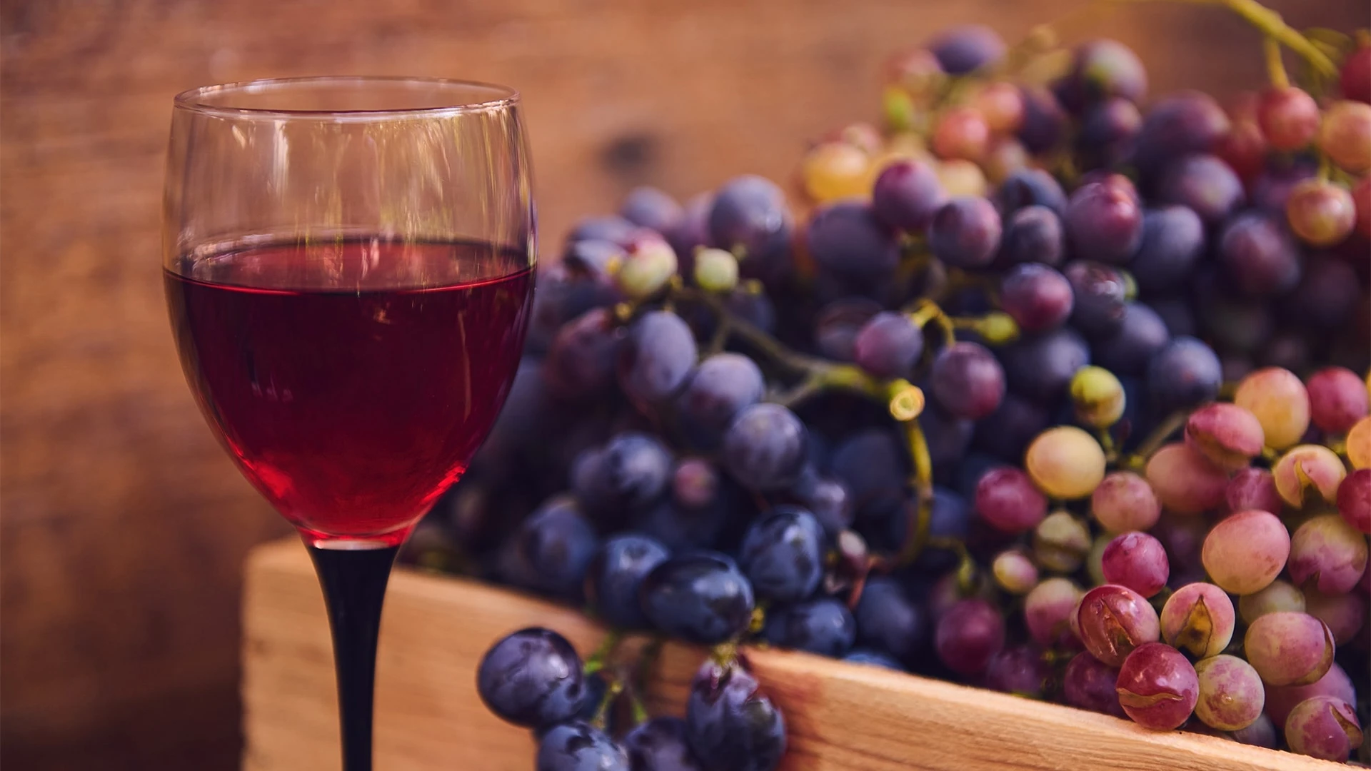 Производители биодинамических вин считают, что виноградник — это сложный живой организм со своей экосистемой, законами и процессами / Фото: shutterstock.