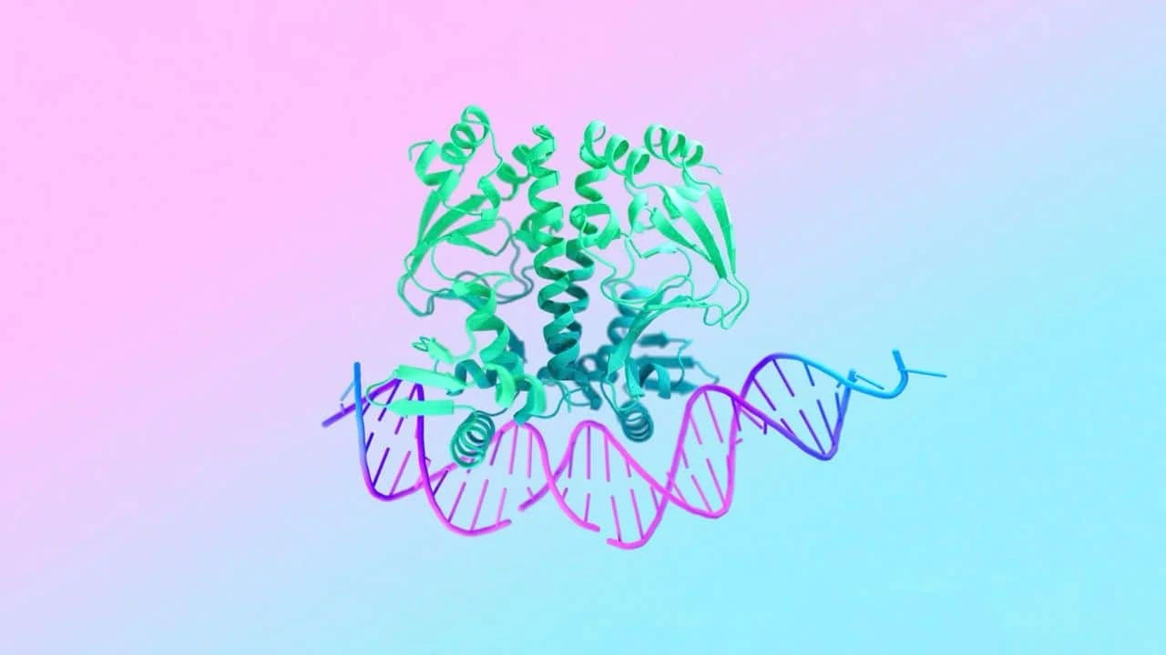 Две лаборатории Google обновили искусственный интеллект, который выполняет ключевую роль в поиске лекарств / Фото: Google