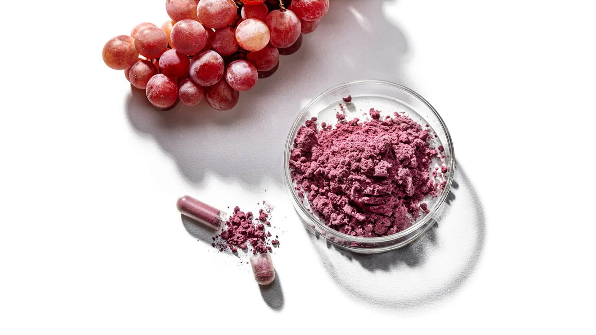 BioHarvest разработал технологию ботанического синтеза / Фото: bioharvest.com