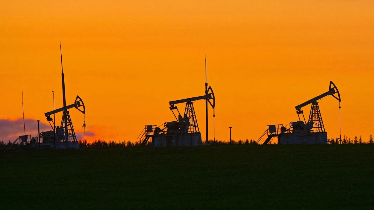 Citi ожидает падения стоимости нефти к 2025 году до $60 за баррель / Фото: Reuters/Alexander Manzyuk