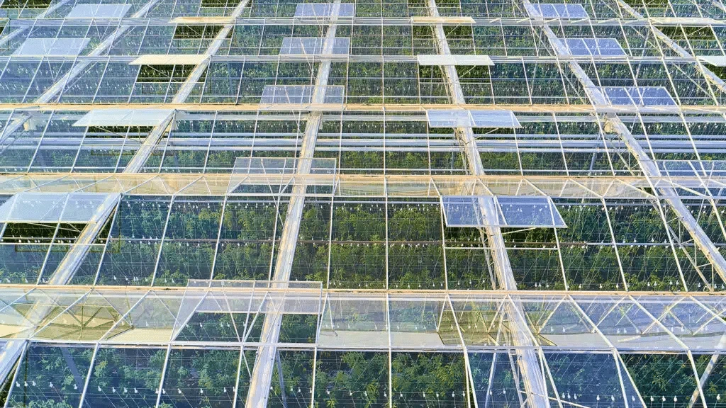 NewLake leases cannabis cultivation facilities / Photo: Shutterstock