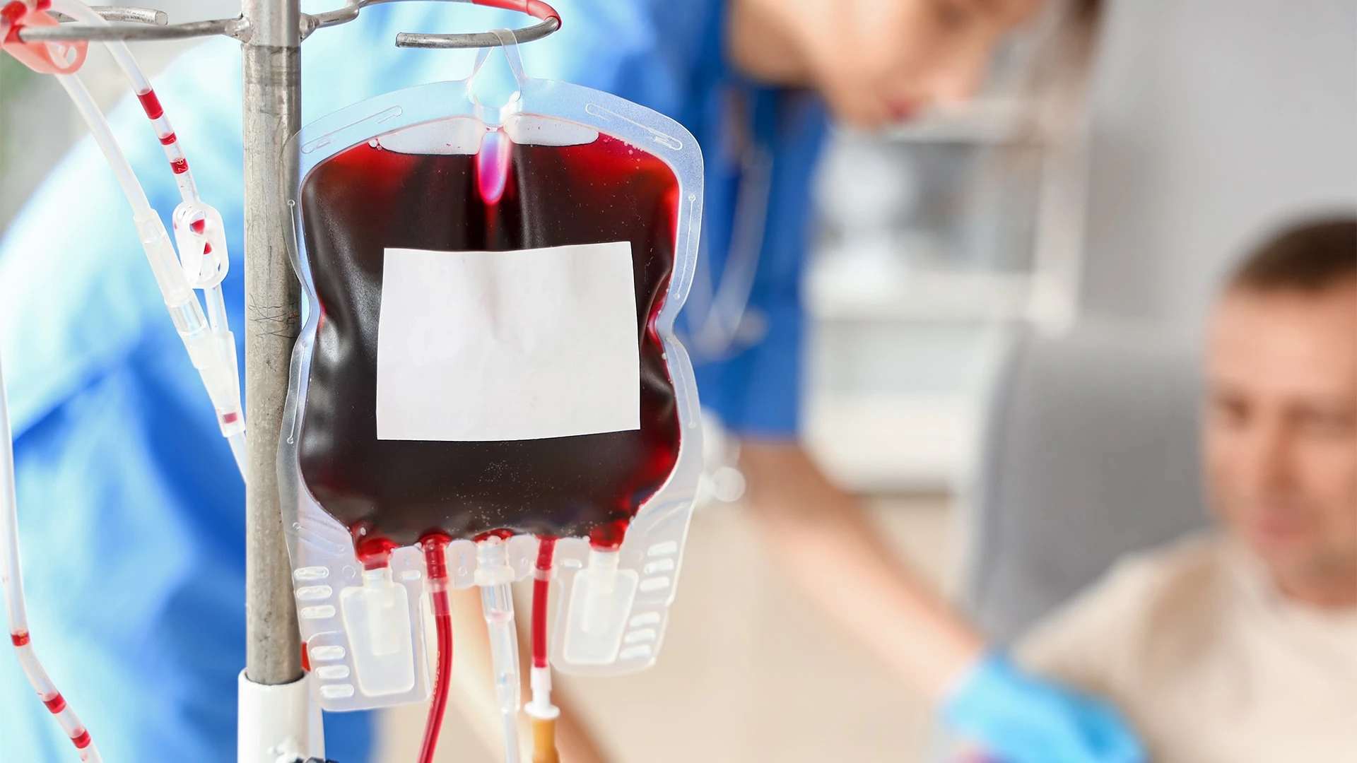 Искусственные кровезаменители могут решить проблему острой нехватки донорской крови /Фото: shutterstock