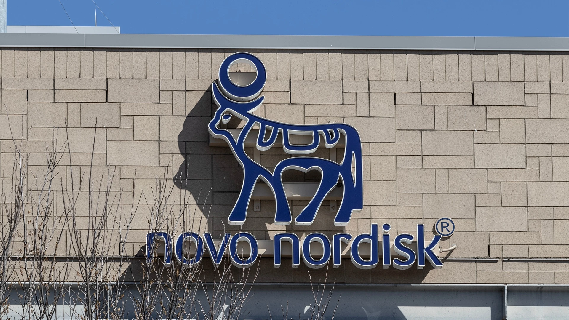 Квартальные результаты могут усилить опасения инвесторов в том, что преимущество Novo на рынке препаратов от ожирения под угрозой / Фото: Shutterstock