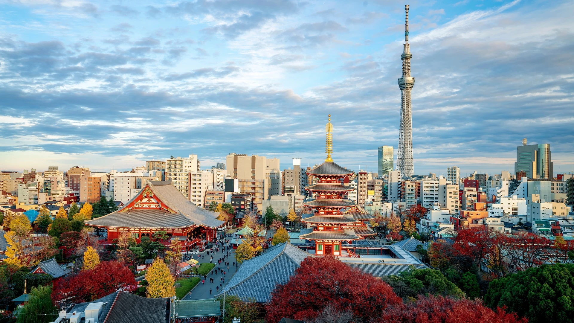 Фондовому рынку Японии потребовалось меньше недели, чтобы восстановиться после рекордного обвала котировок с 1987 года / Фото: Shutterstock