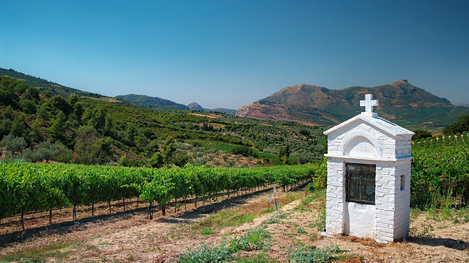 Самые первые вина в Греции появились более 6,5 тысяч лет назад. Фото: shutterstock