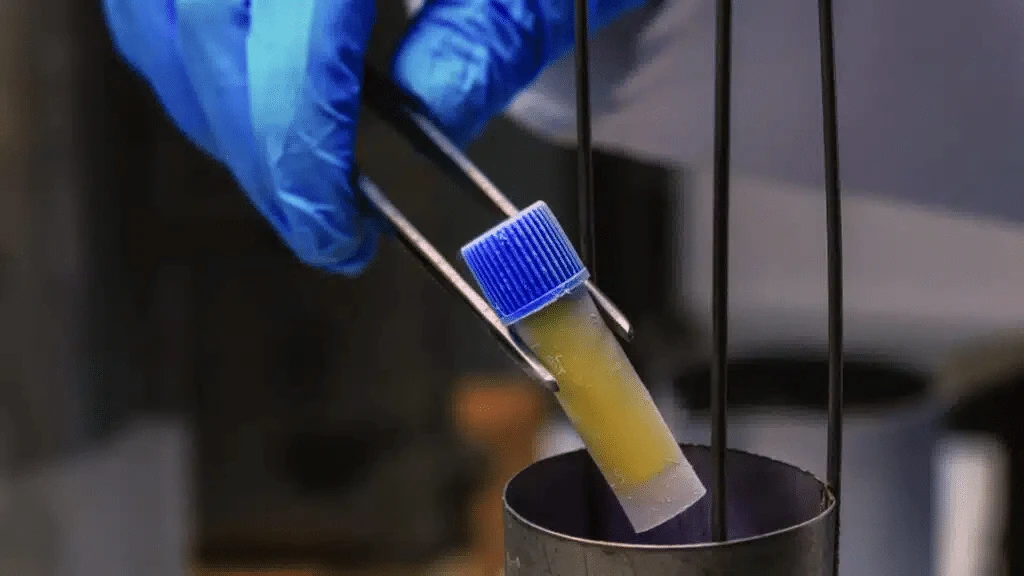 Zacks thinks BioStem stock should almost double from current levels /Photo: Linkedin/Biostem-technologies