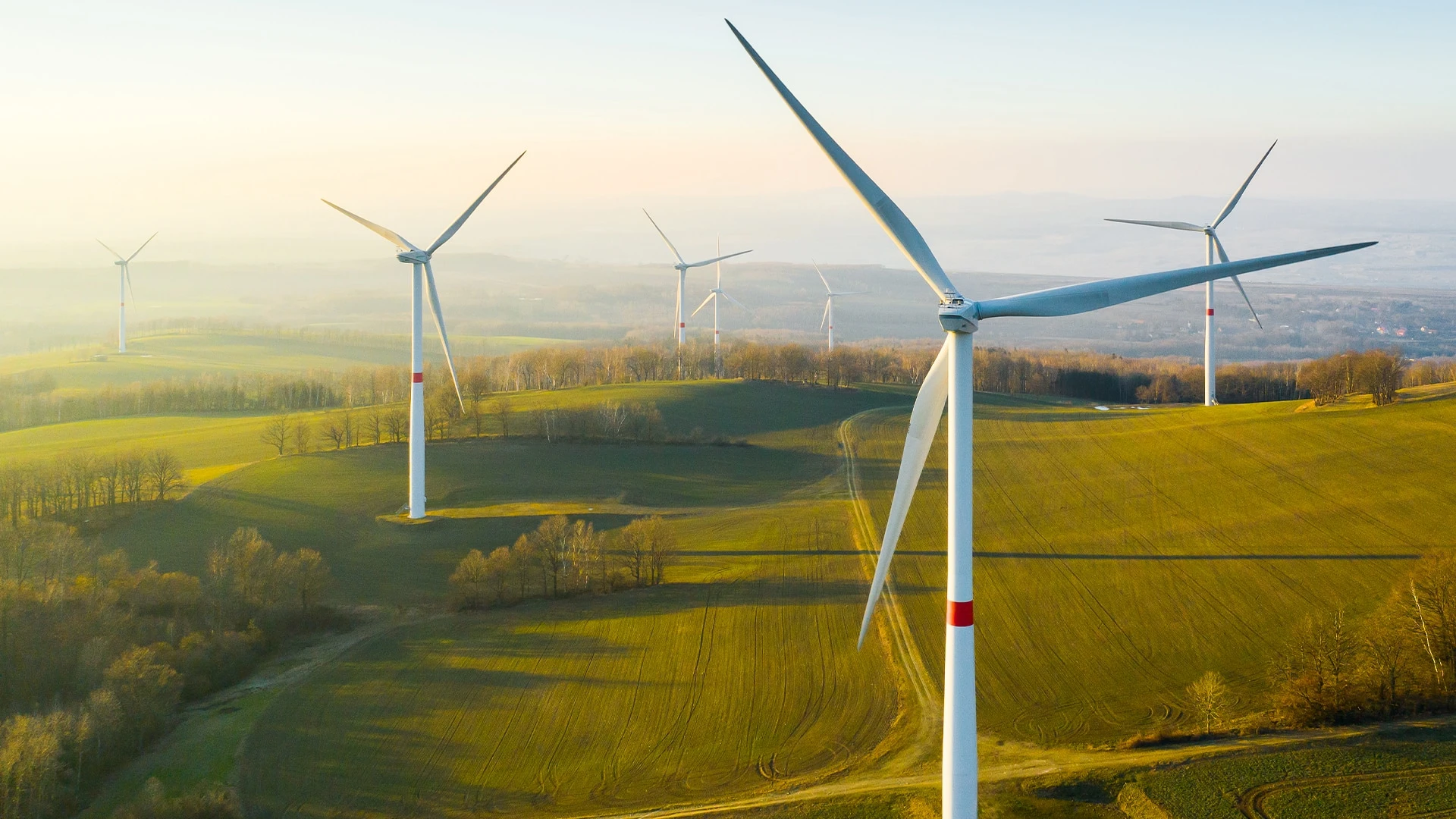 Искусственный интеллект позволит снизить выбросы в ряде отраслей, которые трудно декарбонизировать. Фото: shutterstock