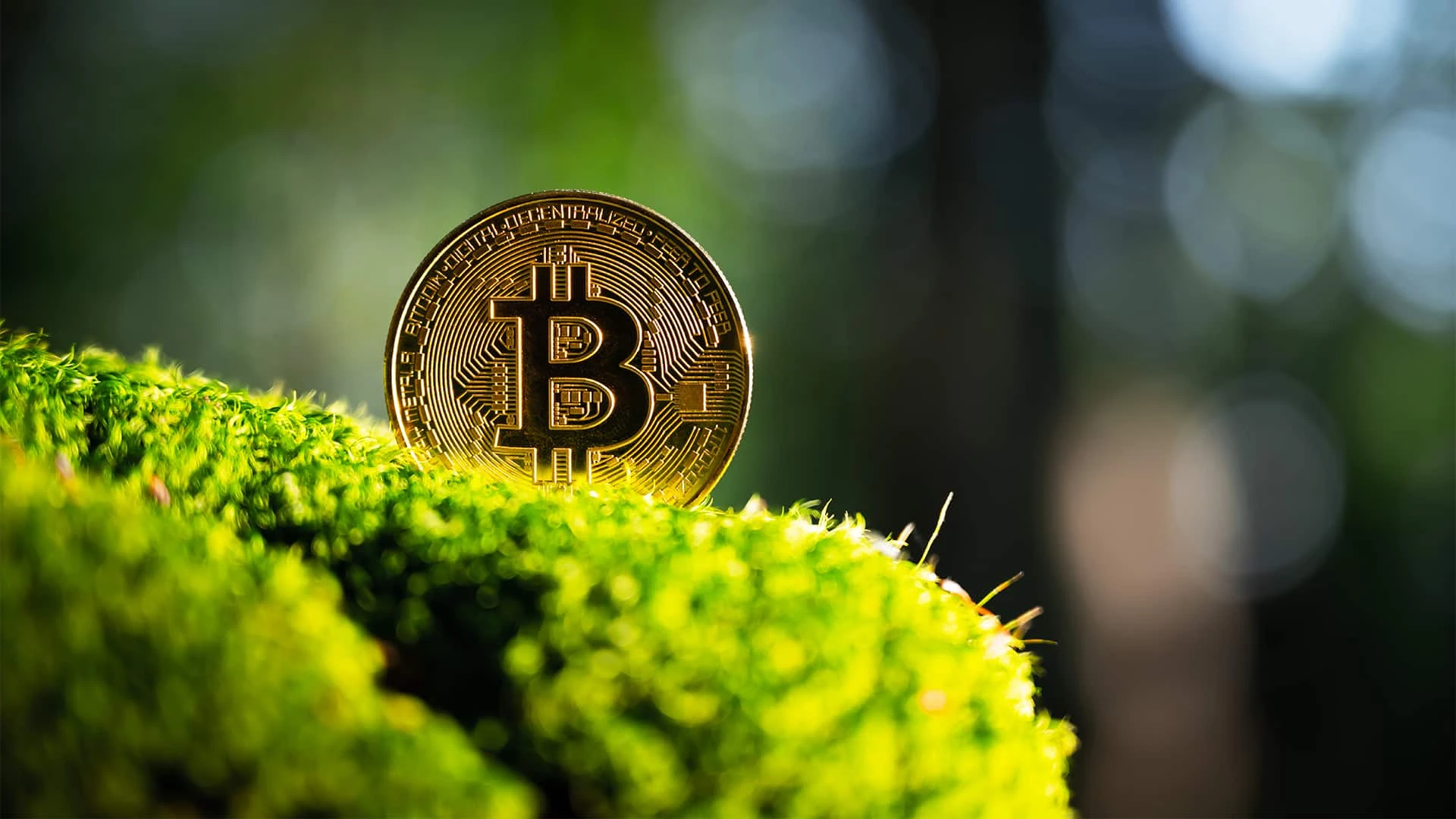 Gryphon Digital Mining позиционирует себя как зеленого майнера / Фото: Shutterstock