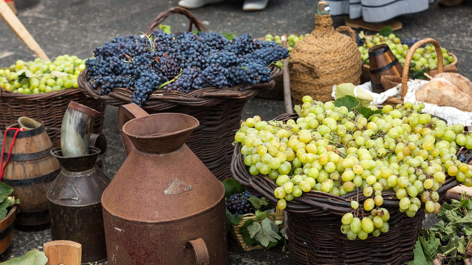 Желающие по-настоящему прикоснуться к производству вина могут поехать на сбор урожая в один из винодельческих регионов Европы. Фото: shutterstock