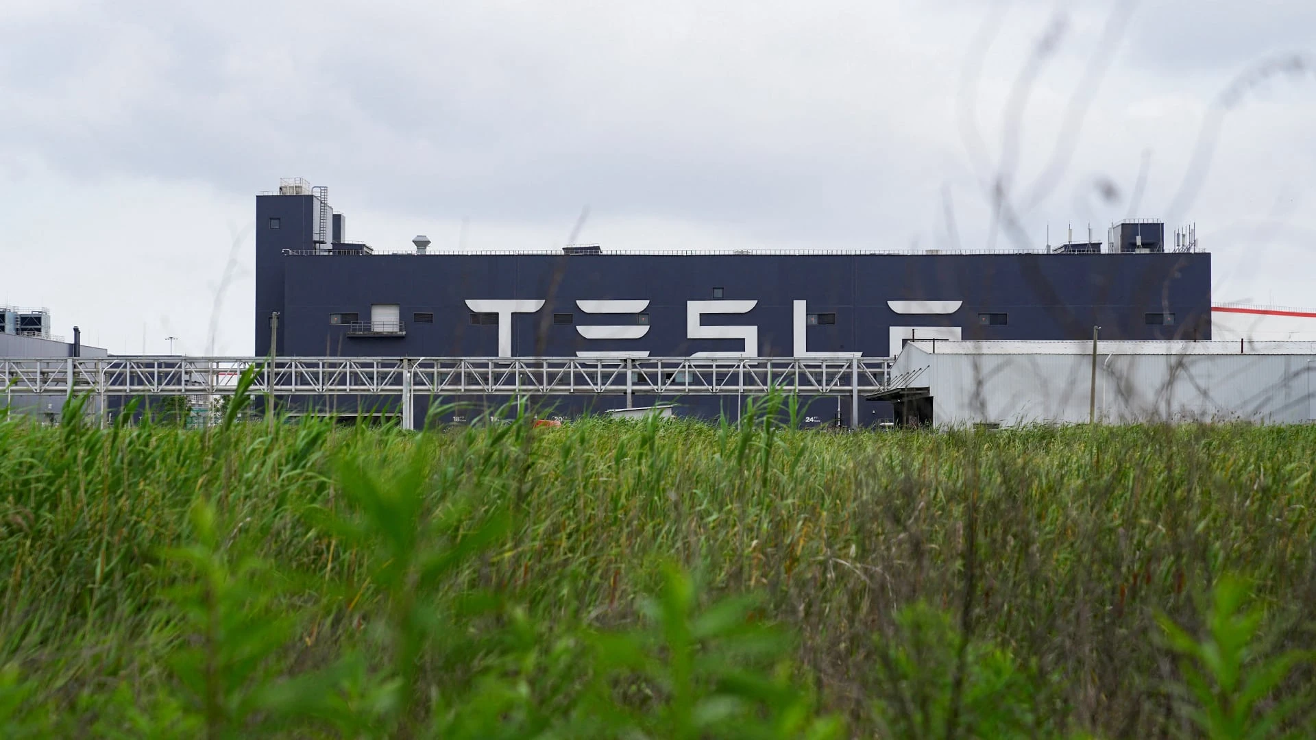 Завод Tesla в Шанхае / Фото: REUTERS/Aly Song