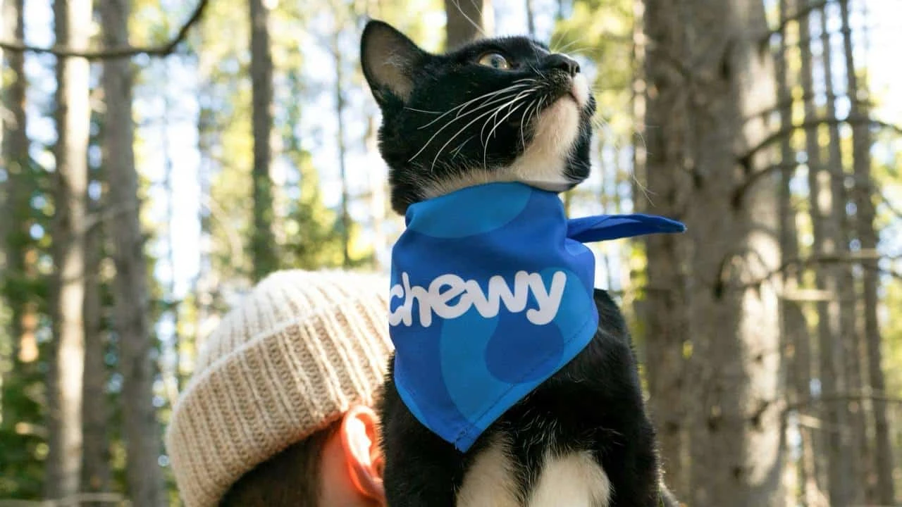 Трейдер Roaring Kitty владел примерно 6,6% акций Chewy / Фото: Unsplash/Chewy