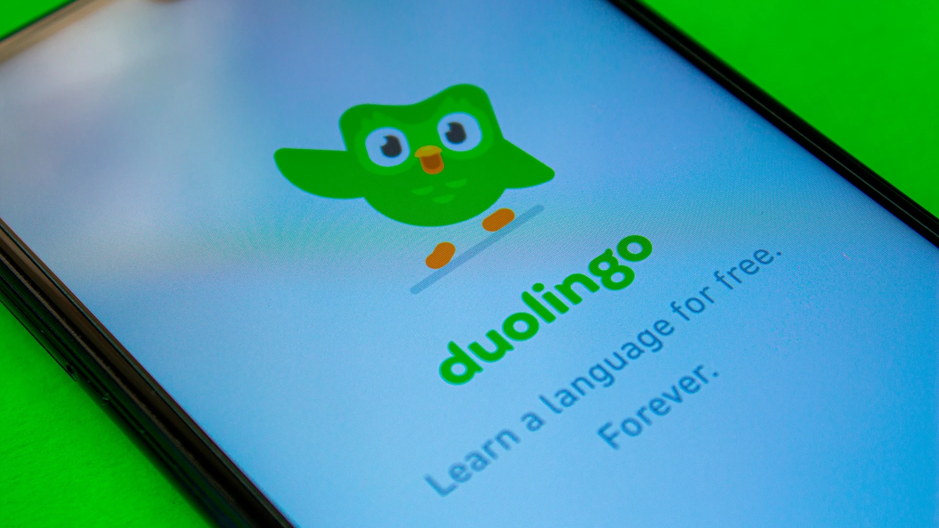 Duolingo — один из примеров успешных проектов в сфере EdTech, по итогам прошлого года компания показала прибыль после нескольких лет убытков. Фото: shutterstock