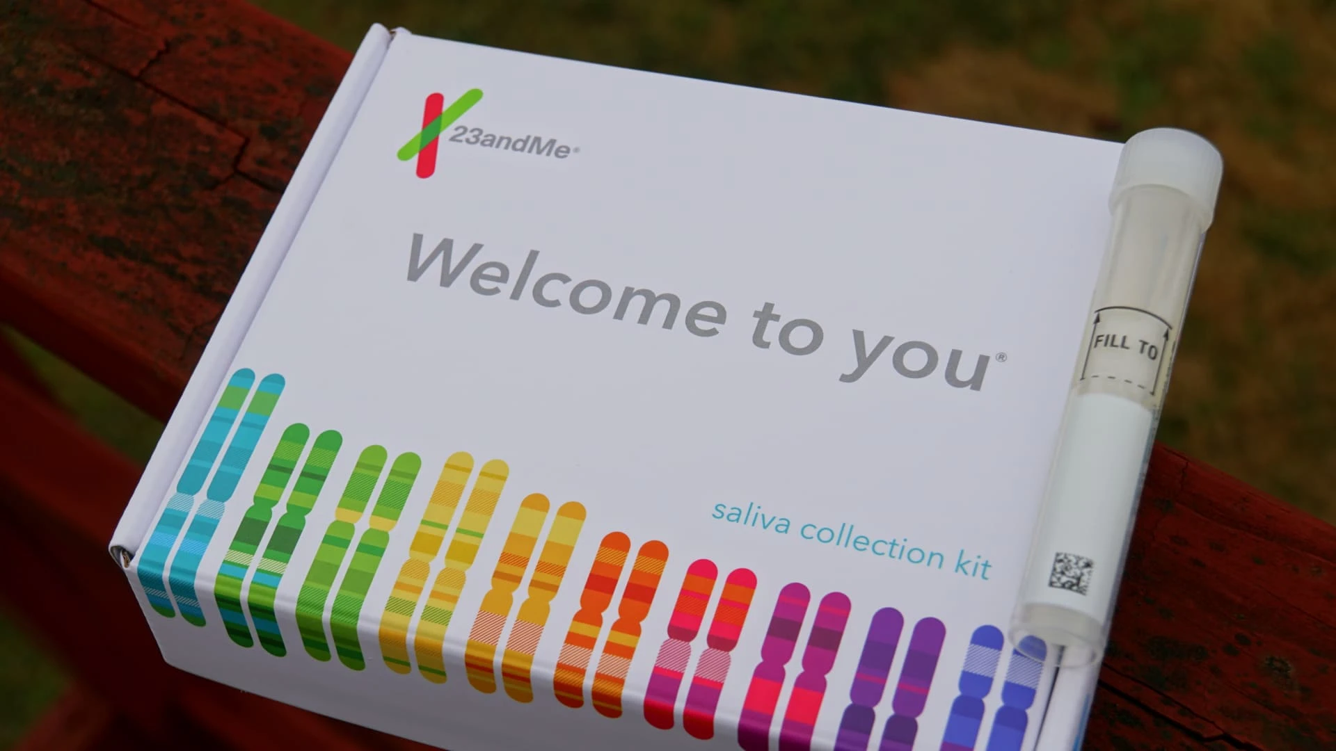 Энн Воджицки предложила новый план спасения 23andMe / Фото: Shutterstock