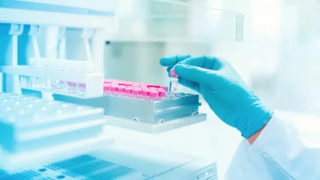 The deal values Poseida at triple its highest market value in the last year. / Photo: Poseida