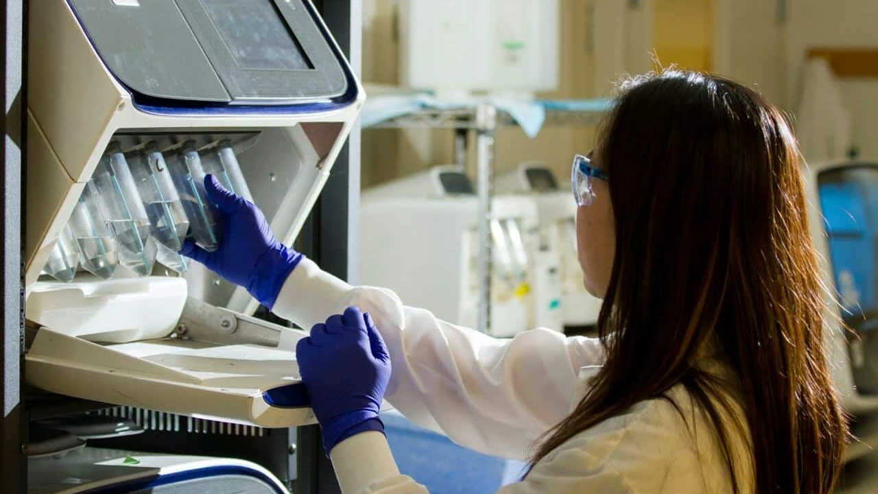 Применение терапии Novocure в сочетании с химиотерапией дало статистически значимый результат, утверждает компания / Фото: Unsplash/National Cancer Institute