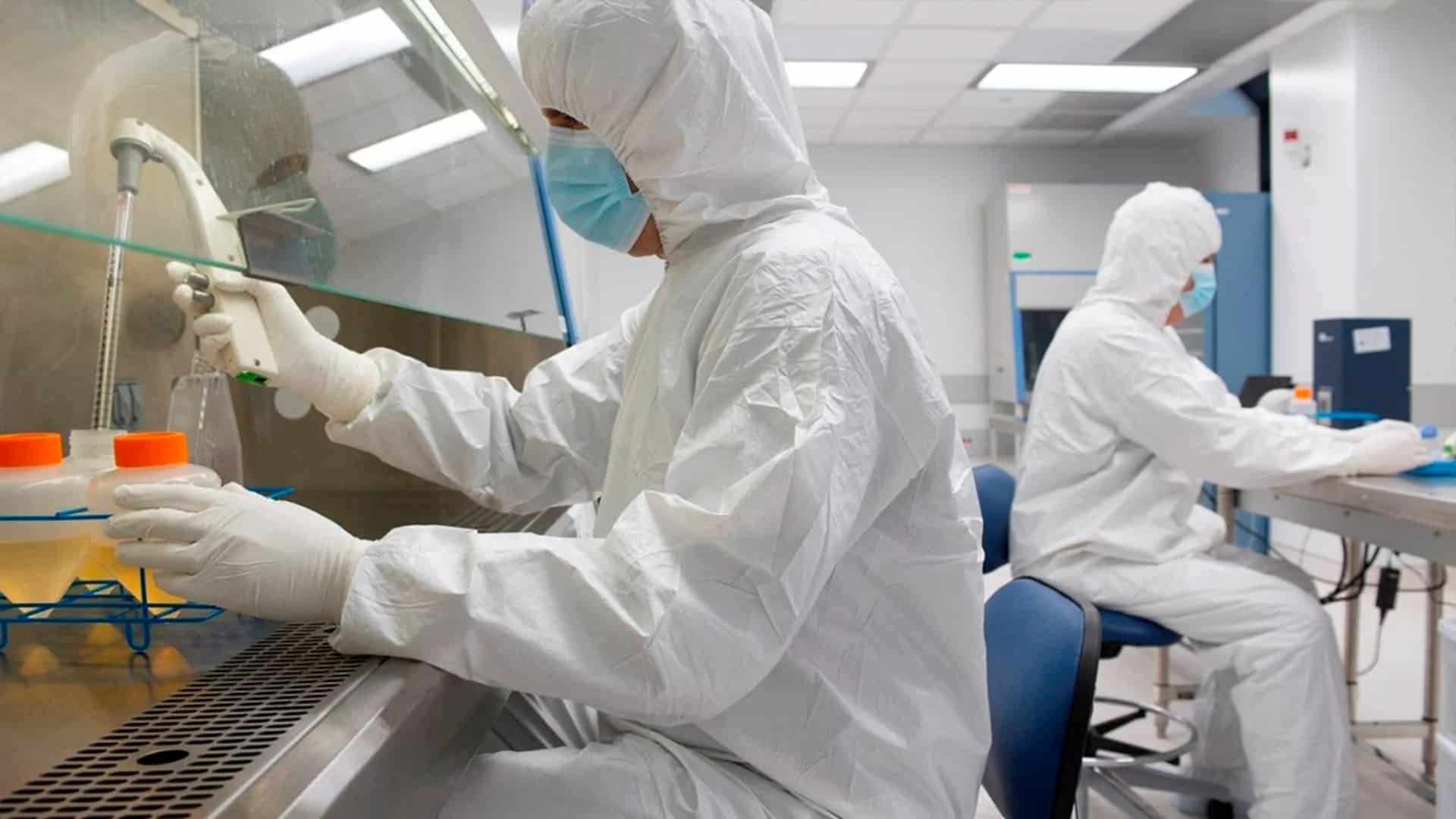 Исследователи IN8bio разрабатывают новые методы клеточной терапии рака Фото: IN8bio.com