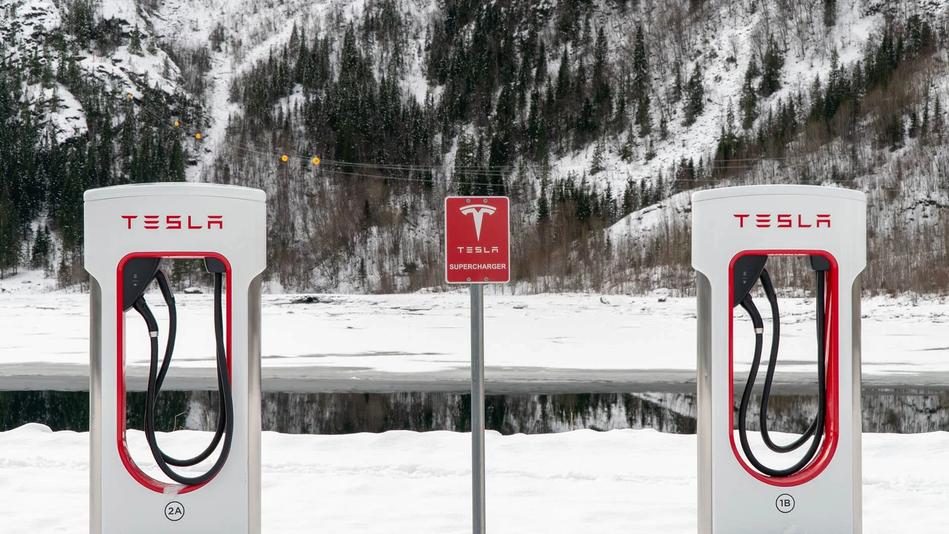 Здесь холодно, много гор и большие расстояния между населенными пунктами. Но стране удалось перейти на чистый транспорт / Фото: Shutterstock