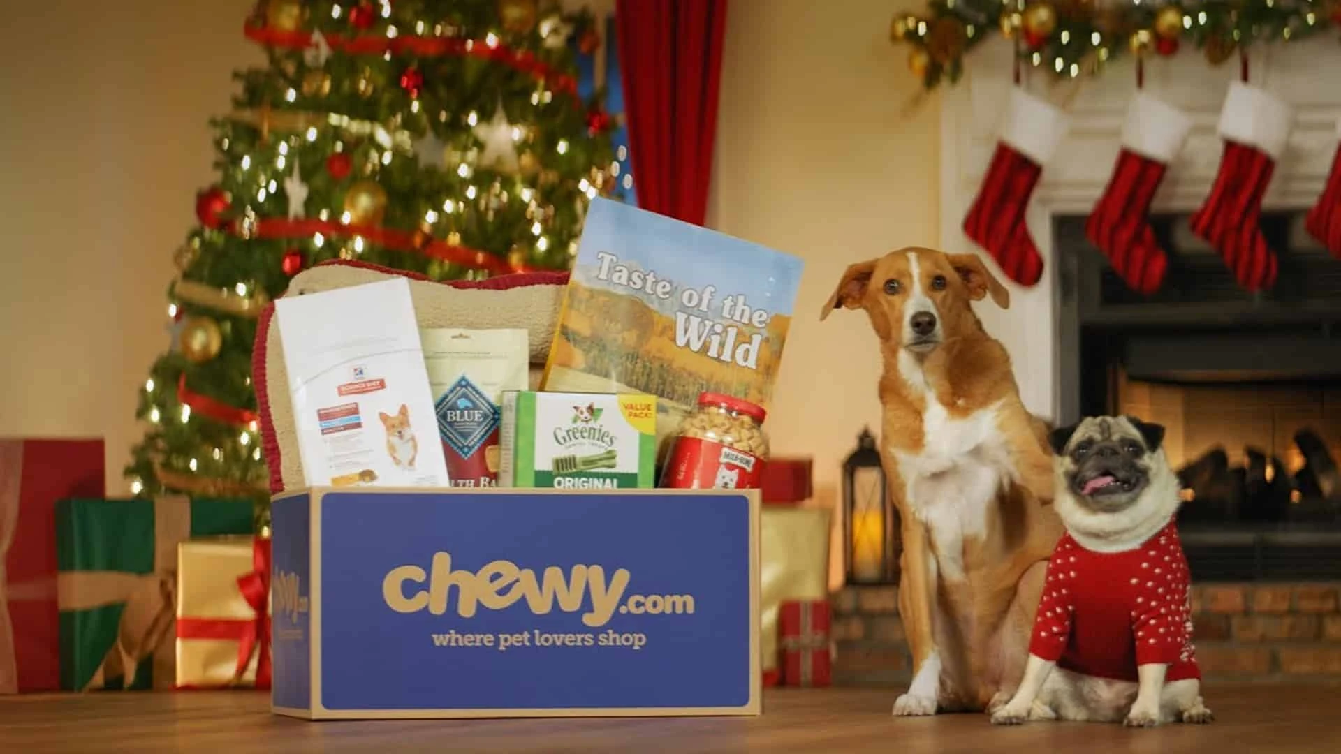 Аналитики William Blair выбрали пять акций из разных секторов, которые стоит купить в 2025 году / Фото: youtube.com/@Chewy