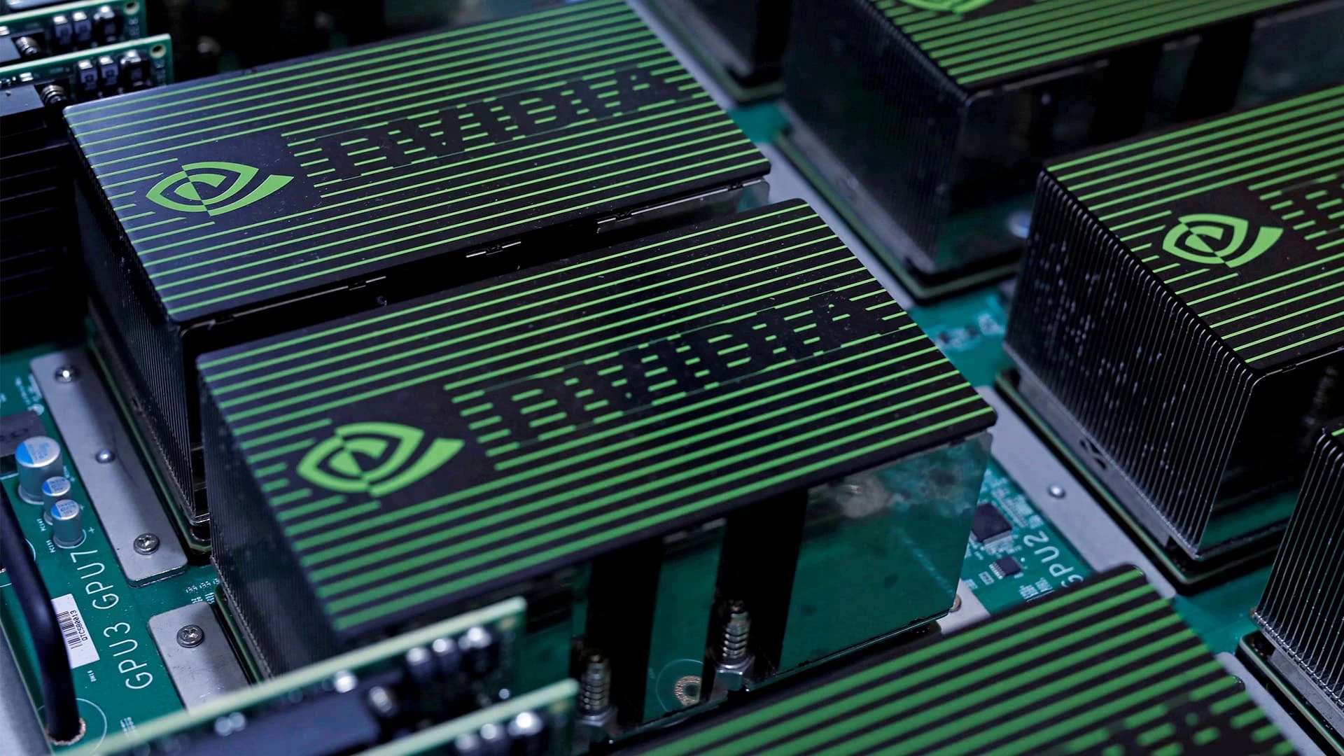 В США введут ограничения на экспорт ИИ-чипов. Акции Nvidia упали почти на 5%, а AMD — на 1,5% / Фото: Reuters/Tyrone Siu