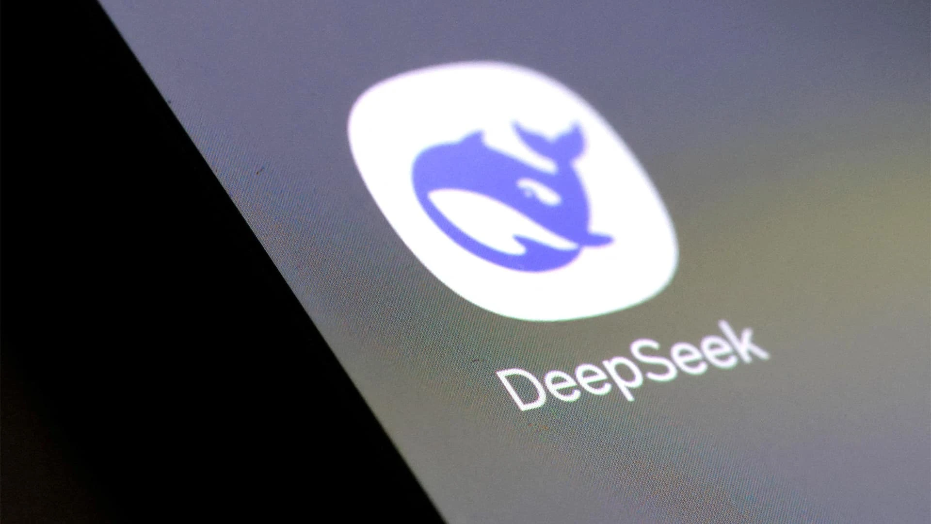 Китайская компания DeepSeek выпустила на рынок свой вариант ИИ-чат-бота, более дешевого, но при этом превосходящего GPT-4o от OpenAI. Фото: REUTERS/Dado Ruvic
