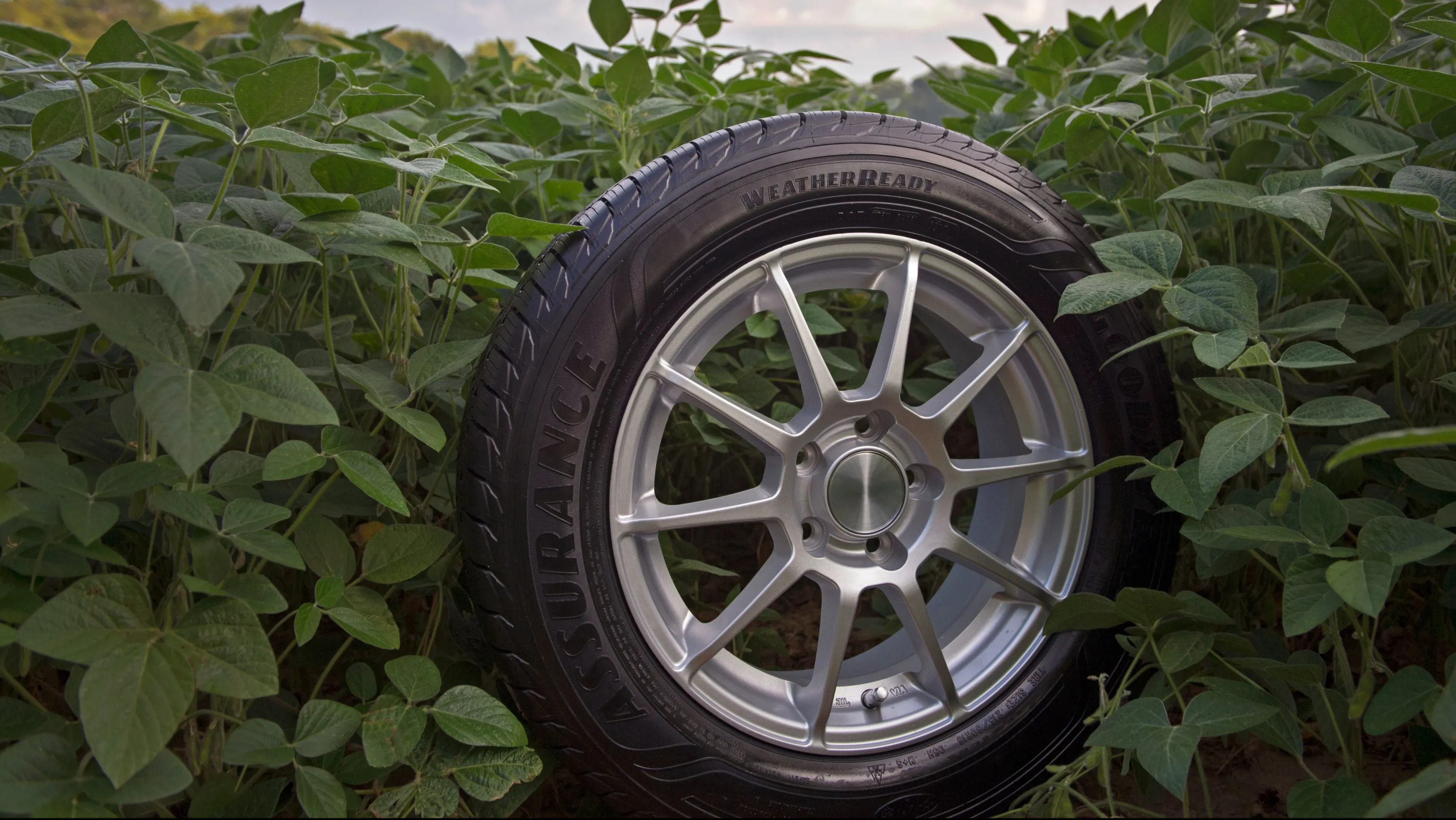 Analysts say that Goodyear’s financial performance is improving. / Photo: Goodyear cite