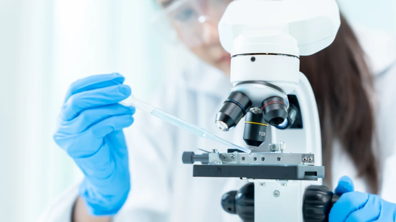 Abeona has developed artificial skin that helps heal wounds of patients suffering from “butterfly disease.” / Photo: shisu_ka / Shutterstock.com