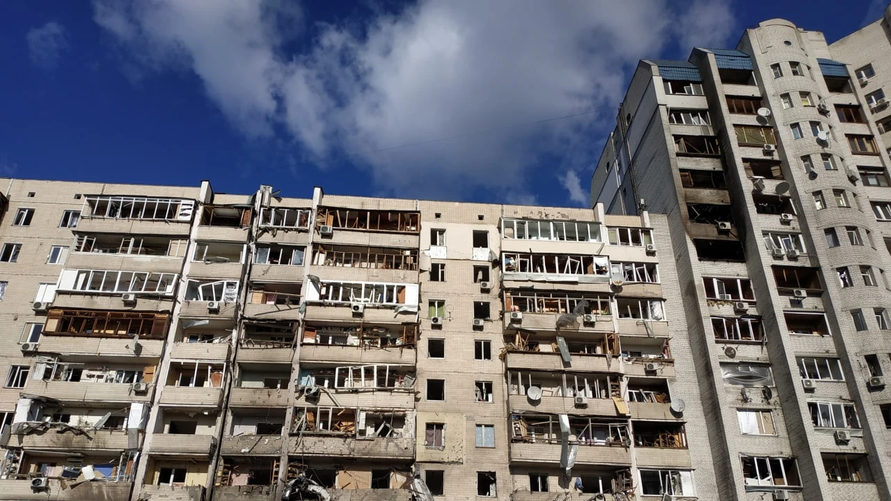 Фото: Lana U / Shutterstock.com