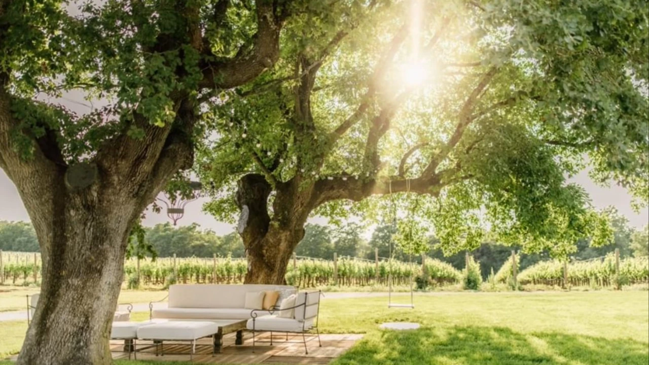 Сейчас практически каждая хорошая винодельня предлагает возможность остановиться в отеле на своей территории на пару ночей. Фото: meneghetti.hr