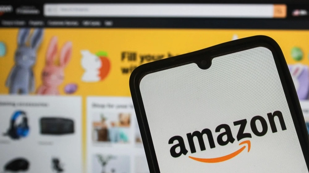 Amazon и Alphabet в числе главных фаворитов Goldman Sachs среди интернет-компаний /  Фото: Algi Febri Sugita / Shutterstock.com