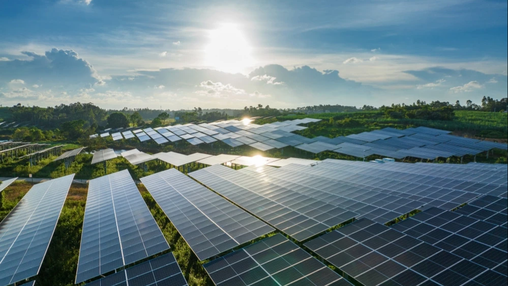 Solar panel suppliers are going bankrupt. Why does Jefferies recommend First Solar?