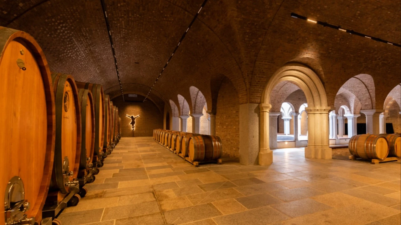 На винодельне Schloss Gobelsburg для создания одной из линеек вина применяют методы производства, которые использовались еще 100–200 лет назад. Фото: www.gobelsburg.at