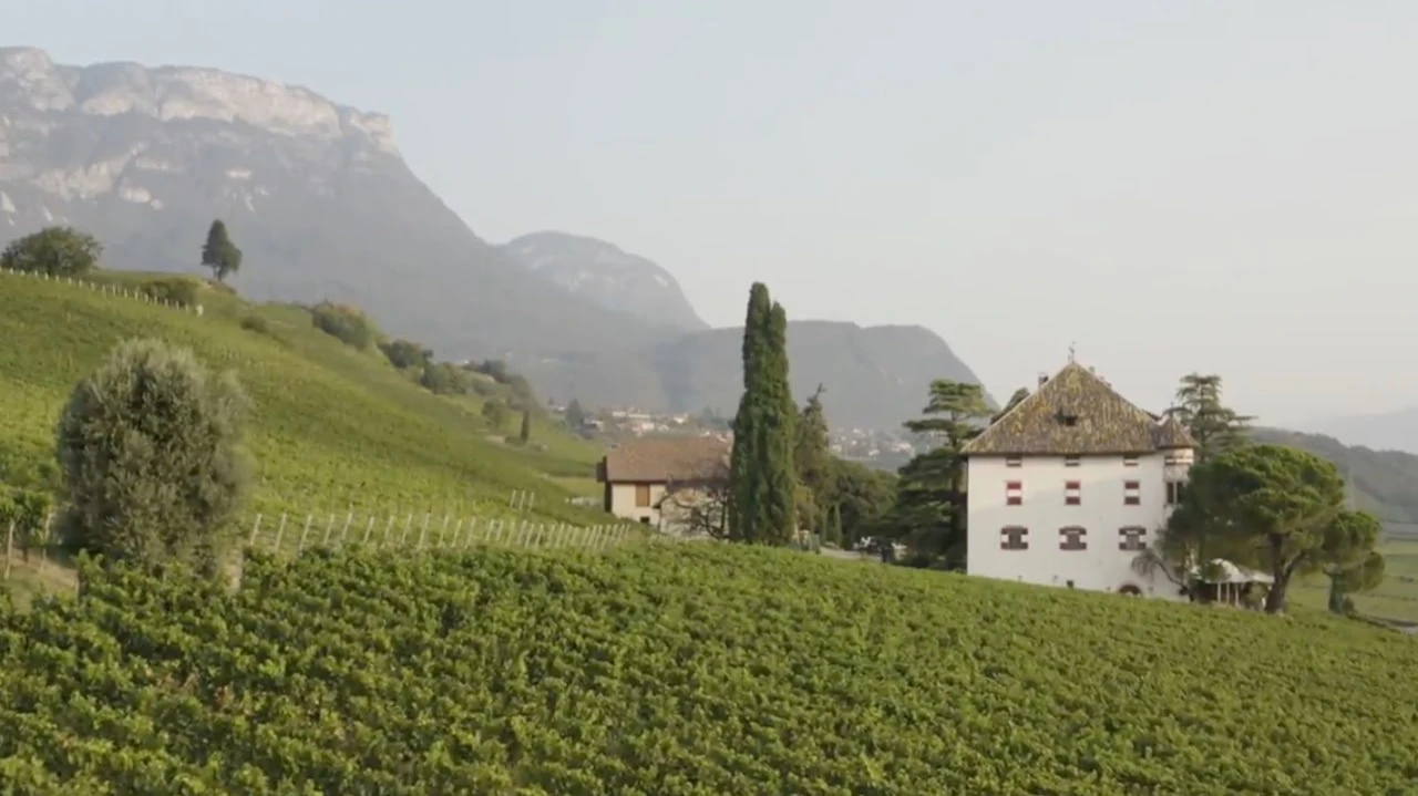 Трентино-Альто-Адидже — это спокойная Италия без суеты больших городов, c виноградниками, горами и озерами. Фото: elenawalsh.com