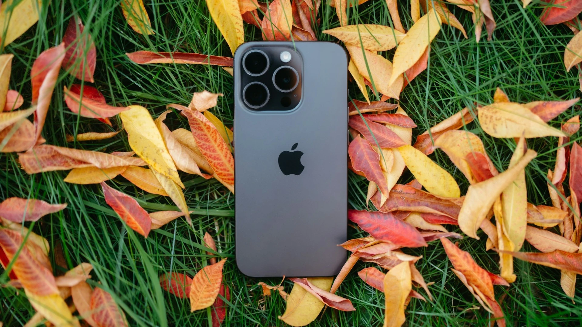 Рост продаж iPhone оказался самым высоким за последние годы / Фото: Unsplash/Micah & Sammie Chaffin