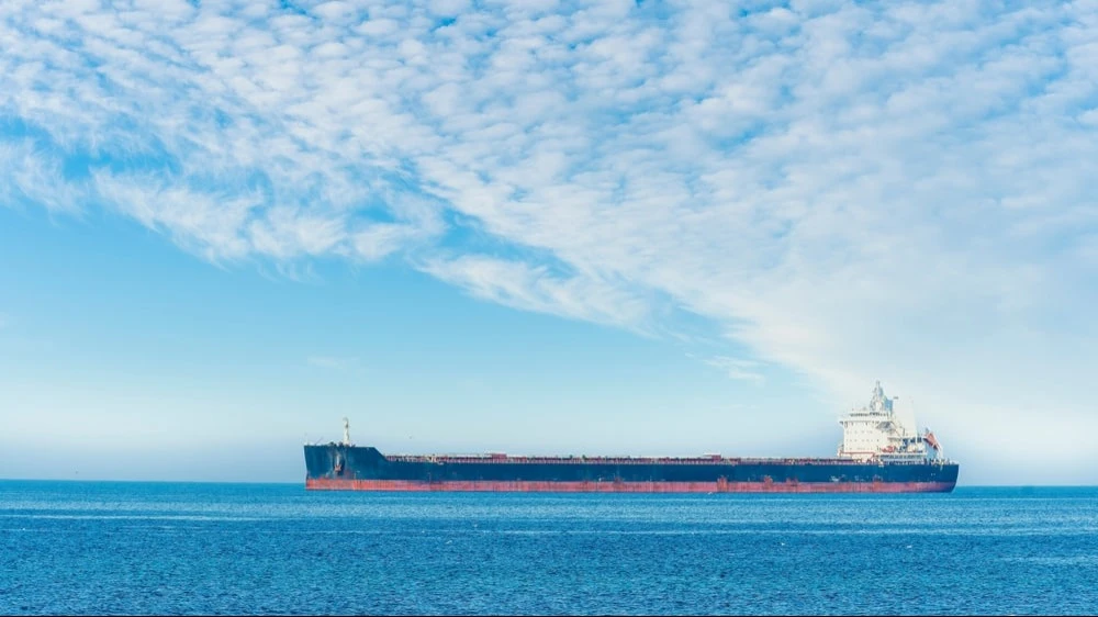 Новую пошлину — суммарно в размере 50% — США начнут взимать с 27 августа / Фото: Shutterstock.com