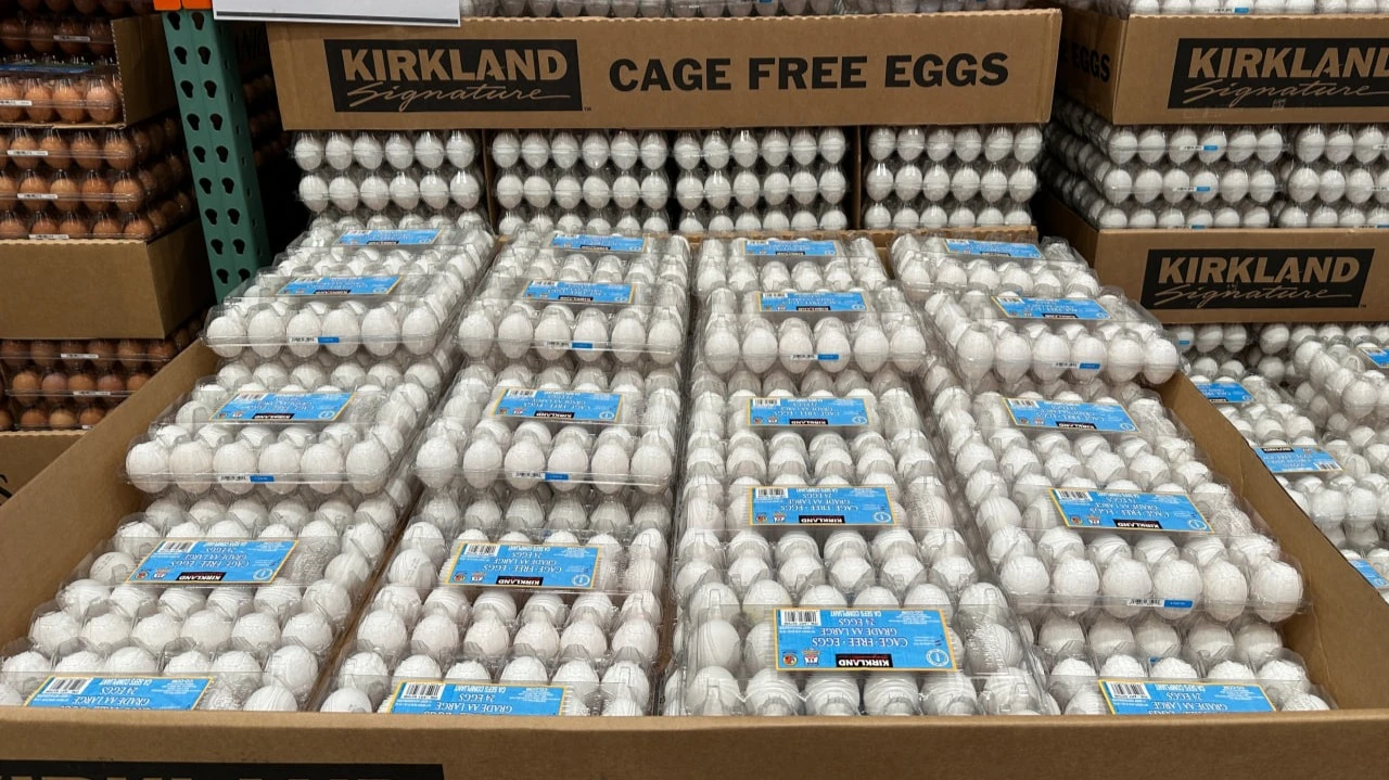 Оптовая стоимость товаров и услуг, на которую рост инфляции обычно влияет в первую очередь, в июле росла самыми быстрыми темпами за три года / Фото: Kenishirotie / Shutterstock.com