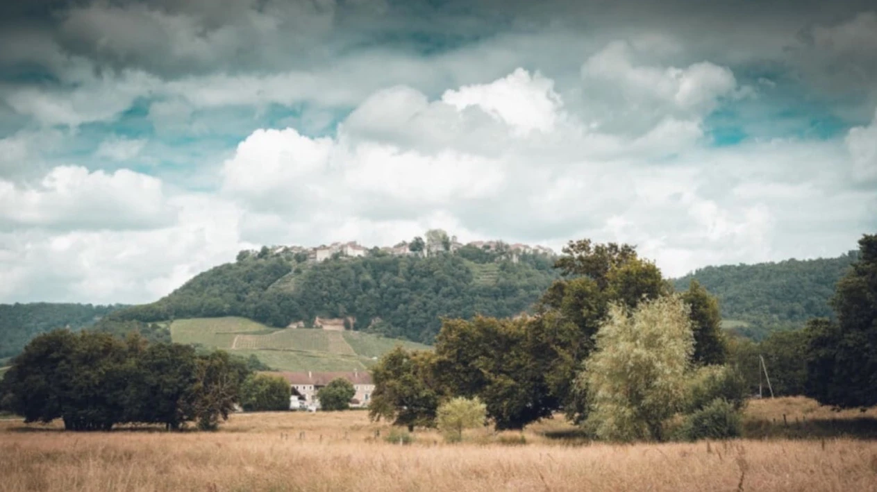 Жюра — небольшой регион во Франции со своими винными традициями. Фото: berthet-bondet.com