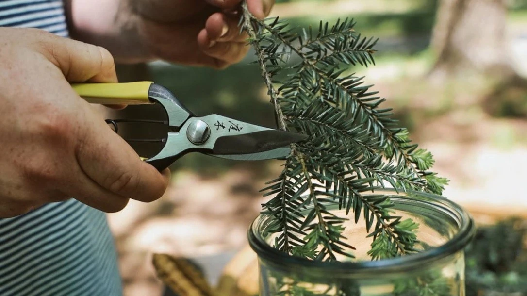 В барной индустрии модный тренд от сада до бокала. Бармены используют при приготовлении напитков выращенные в собственных садах полынь, ревень, артишок, шисо, мяту и другие растения. Фото: slowdrinks / Instagram