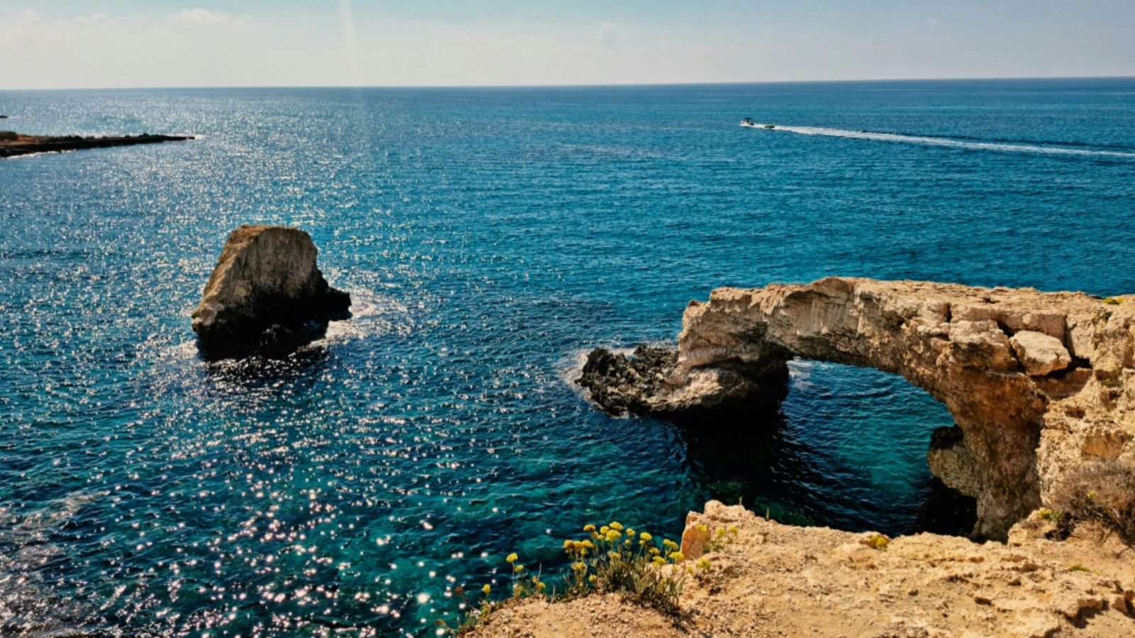 Сегодня виноделие Кипра переживает эпоху возрождения. Это заслуга небольшой «новой волны» хозяйств. Фото: Matěj Mikan / Unsplash.com