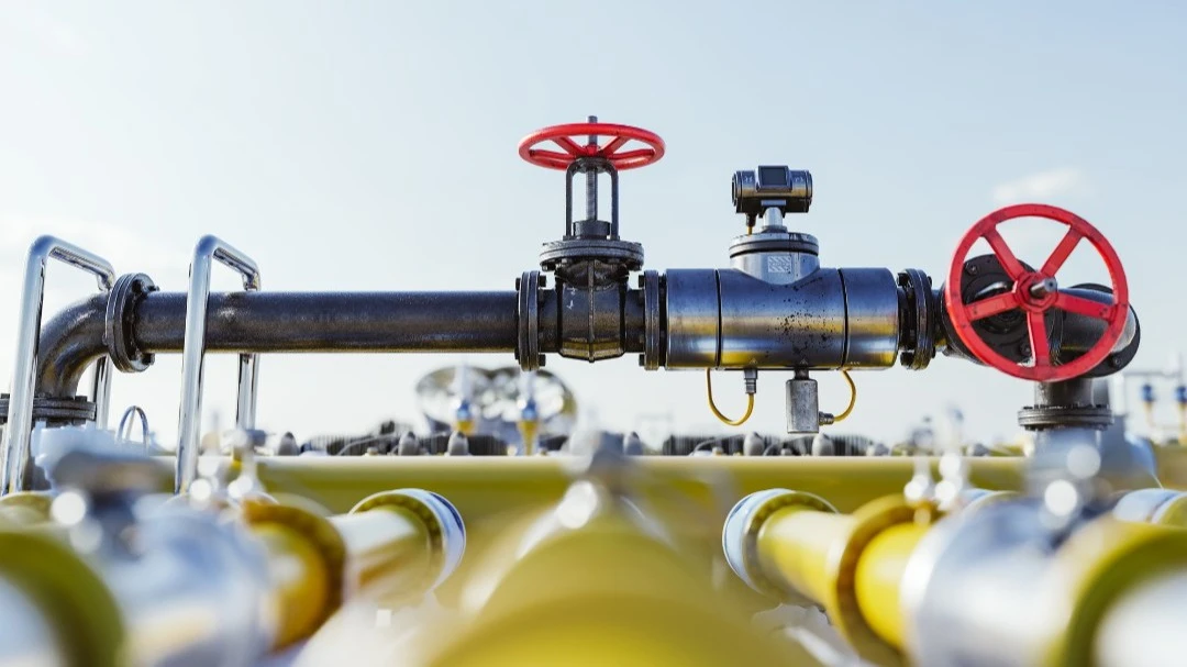 Freedom says buy on industrial supplier DXP, citing model, M&A, sector outlook